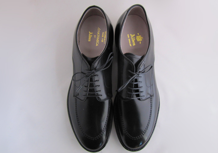 alden×anatomica別注 モックトゥブーツ 黒コードバン 9ハーフ - 靴