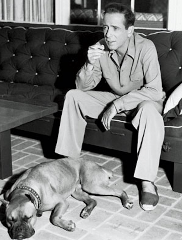 Humphrey+Bogart+and+dog+espadrilles