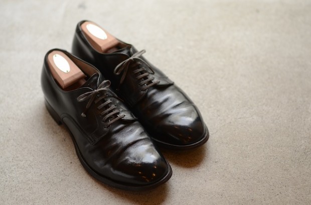 My First ANATOMICA ALDEN