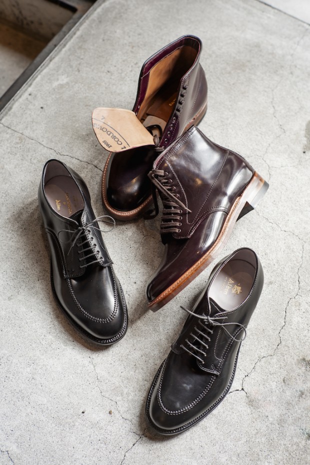 12年待ったANATOMICA by Alden