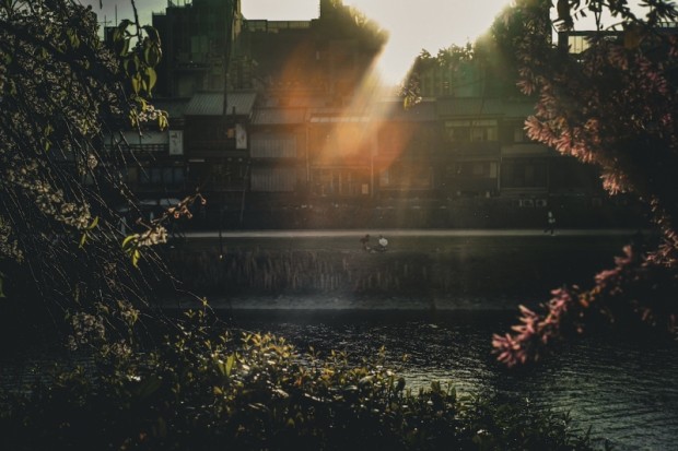 ANATOMICA KYOTO STAFF RECRUIT